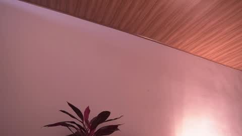 Snapshot of ne_fertari chatting on 19, 5, 2026 Nefertari online show from 19, 5, 2026