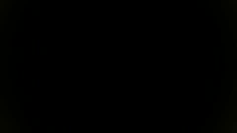 Sebastian online show from 8, 11, 2025