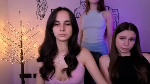 Meow online show from 12, 7, 2026