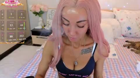 never give up  online show from 14, 7, 2026