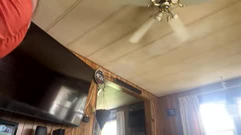 Snapshot of neversaynevrrr chatting on 1, 11, 2025 neversaynevrrr online show from 1, 11, 2025