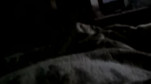 Matt online show from 11, 12, 2024