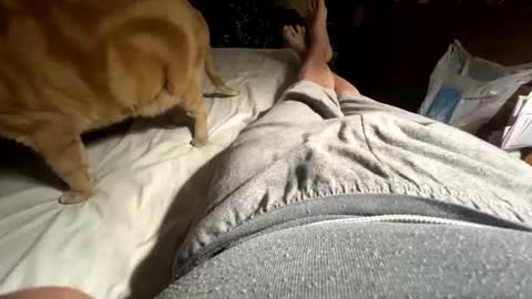 Snapshot of ngianop chatting on 12, 4, 2026 ngianop online show from 12, 4, 2026