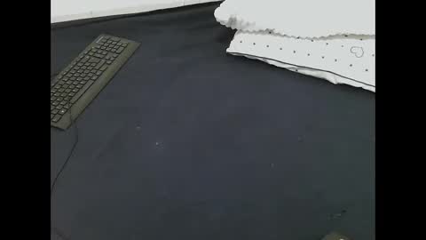 Snapshot of nia_0 chatting on 16, 3, 2026 nia_0 online show from 16, 3, 2026