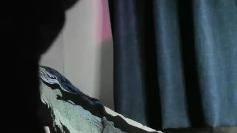 Black Tarzan online show from 22, 12, 2024