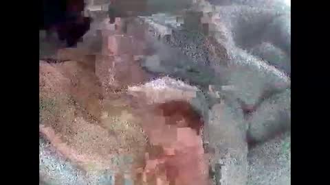 Snapshot of nickthefiddler chatting on 10, 10, 2025 TheCock online show from 10, 10, 2025