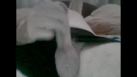 Snapshot of nickthefiddler chatting on 31, 10, 2025 TheCock online show from 31, 10, 2025