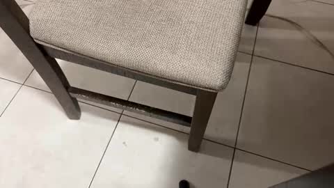 Snapshot of nicocar83 chatting on 5, 3, 2026 Carlos Nico online show from 5, 3, 2026