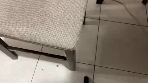 Snapshot of nicocar83 chatting on 14, 3, 2026 Carlos Nico online show from 14, 3, 2026