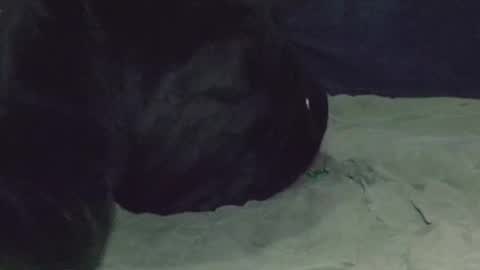 Watch us Fuck online show from 8, 3, 2025