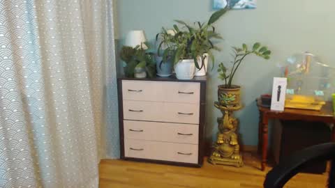 Nika online show from 28, 2, 2025