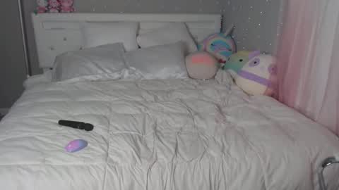 Snapshot of nikayasworld chatting on 16, 12, 2024 nikayasworld online show from 16, 12, 2024