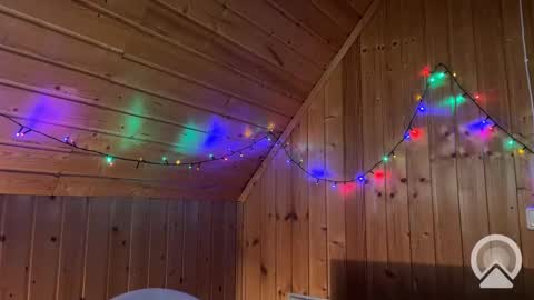 Nick online show from 12, 12, 2024