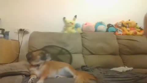 Brian and Logan Brogan online show from 4, 11, 2025