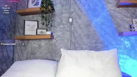    online show from 18, 12, 2025