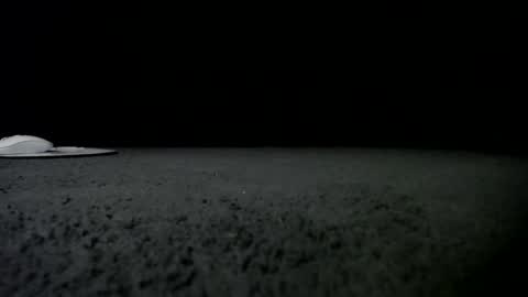 Niquita Sparkles online show from 24, 1, 2025