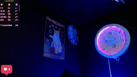 Nikky online show from 7, 3, 2026