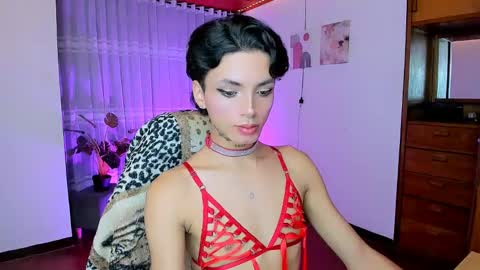 Nilam online show from 19, 5, 2026