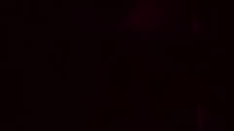 nimapolo online show from 29, 10, 2025