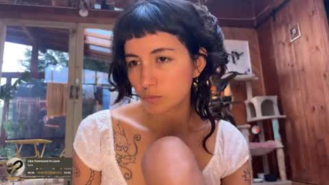 Nina.  online show from 18, 12, 2025