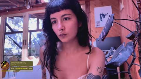 Nina.  online show from 11, 5, 2026