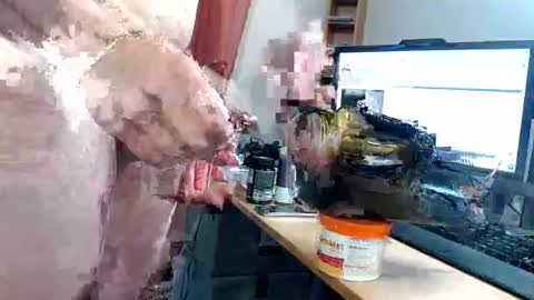 ninetynine_99 online show from 17, 6, 2026