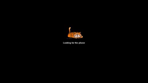 Ninfo Puta online show from 9, 6, 2026