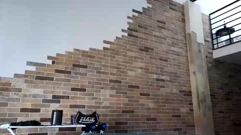 NIVIA WOLFE online show from 17, 3, 2026