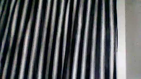 FUZZY-D online show from 27, 9, 2025