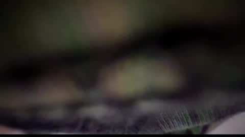 Tears Lora online show from 25, 2, 2025