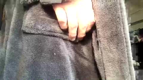 no123love online show from 10, 1, 2026