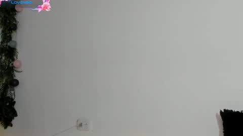 Snapshot of noah25_ chatting on 5, 8, 2026 Noah online show from 5, 8, 2026
