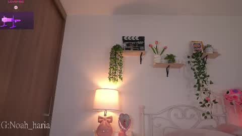 noah__23 online show from 20, 6, 2026
