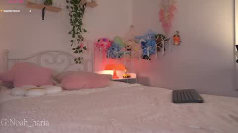 noah__23 online show from 23, 6, 2026