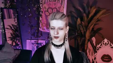 Snapshot of noah_elmer chatting on 27, 5, 2026 REAL name LiaDM are always open online show from 27, 5, 2026