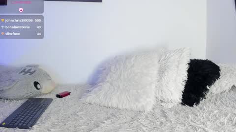 Noah online show from 20, 1, 2025