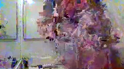 Snapshot of noboundariesinprivate chatting on 18, 3, 2026 noboundariesinprivate online show from 18, 3, 2026