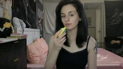 Snapshot of noelle1229 chatting on 24, 6, 2026 Noelle online show from 24, 6, 2026