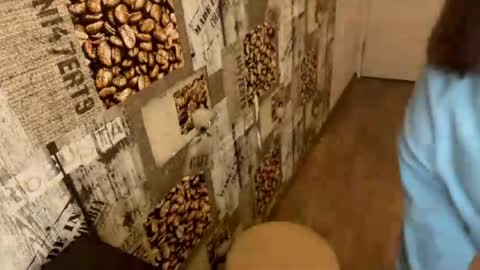 Abri online show from 22, 3, 2026