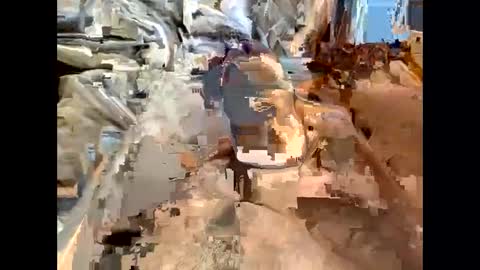 nolplus online show from 7, 3, 2025