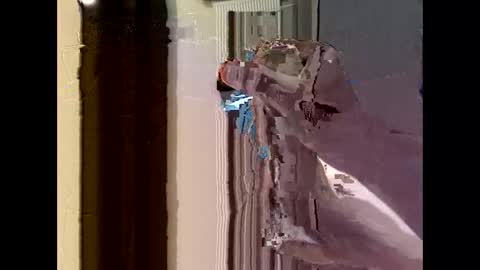 nolplus online show from 22, 9, 2025