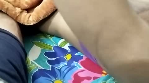 sim  nib online show from 9, 1, 2025