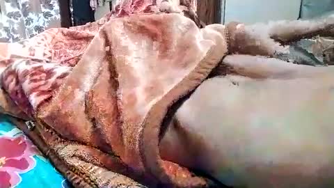 sim  nib online show from 1, 3, 2025