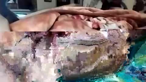 sim  nib online show from 1, 3, 2025