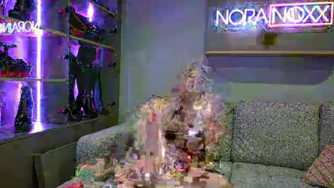NoraNoxx online show from 24, 6, 2026