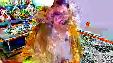 noraj66 online show from 23, 3, 2026