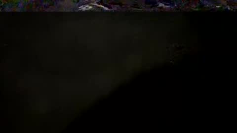DarqLight online show from 4, 5, 2026