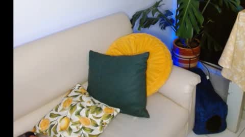 novaperotti online show from 8, 10, 2025