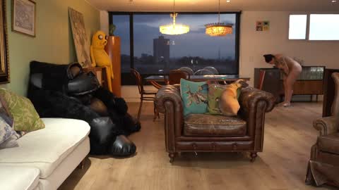 Nury Forero online show from 26, 12, 2024