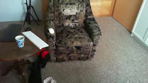 Strumpfhose online show from 29, 11, 2025